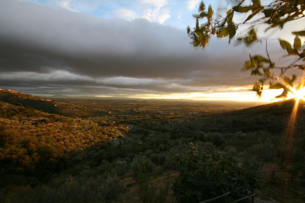 Locanda San Martino A Bocena Кортона Екстер'єр фото