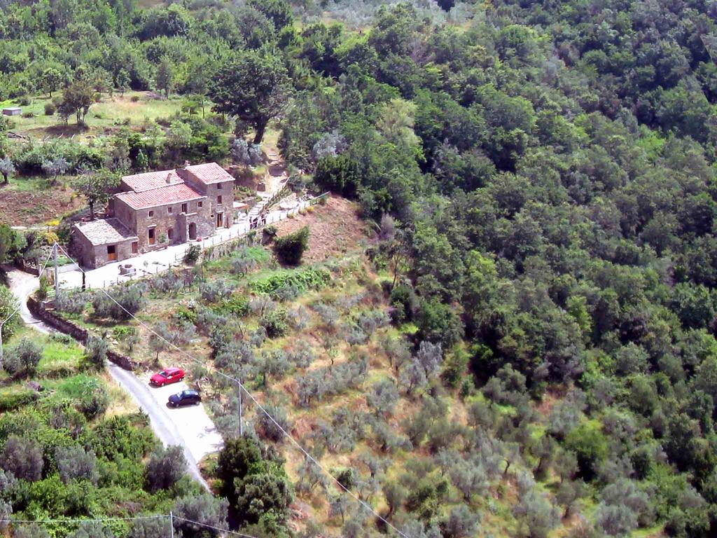 Locanda San Martino A Bocena Кортона Екстер'єр фото